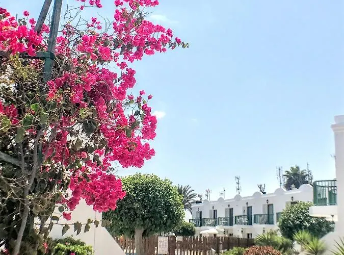 Apartment Buganvilla